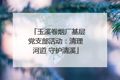 玉溪卷烟厂基层党支部活动：清理河道 守护清溪