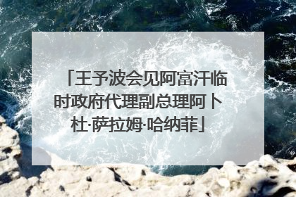 王予波会见阿富汗临时政府代理副总理阿卜杜·萨拉姆·哈纳菲