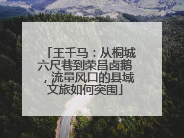 王千马：从桐城六尺巷到荣昌卤鹅，流量风口的县域文旅如何突围