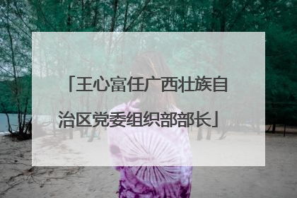 王心富任广西壮族自治区党委组织部部长