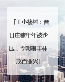 王小楼村：昔日庄稼年年被沙压，今朝粮丰林茂百业兴