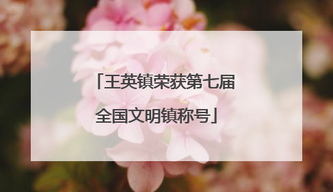 王英镇荣获第七届全国文明镇称号