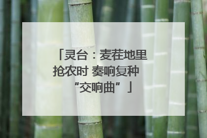 灵台：麦茬地里抢农时 奏响复种“交响曲”