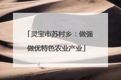灵宝市苏村乡：做强做优特色农业产业