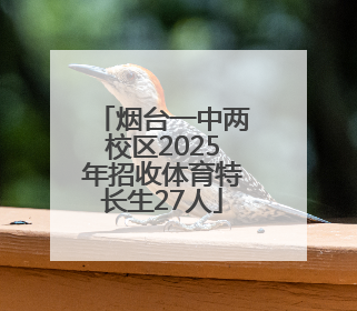 烟台一中两校区2025年招收体育特长生27人