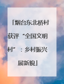 烟台东北桥村获评“全国文明村”：乡村振兴展新貌