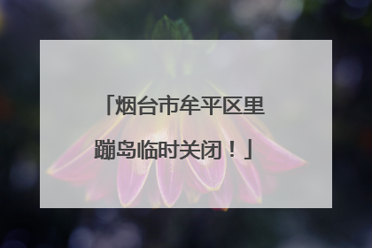 烟台市牟平区里蹦岛临时关闭！