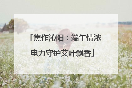 焦作沁阳：端午情浓 电力守护艾叶飘香