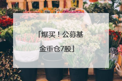 爆买！公募基金重仓7股