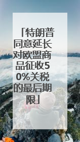 特朗普同意延长对欧盟商品征收50%关税的最后期限