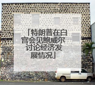 特朗普在白宫会见鲍威尔 讨论经济发展情况