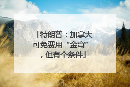 特朗普：加拿大可免费用“金穹”，但有个条件