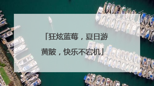 狂炫蓝莓，夏日游黄陂，快乐不宕机