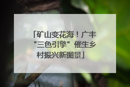 矿山变花海！广丰“三色引擎”催生乡村振兴新图景