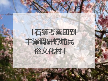 石狮考察团到丰泽调研蟳埔民俗文化村