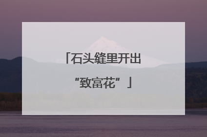 石头缝里开出“致富花”