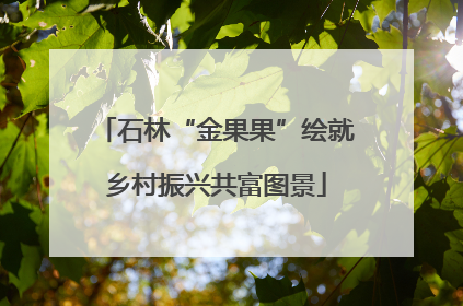 石林“金果果”绘就乡村振兴共富图景