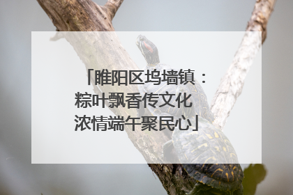 睢阳区坞墙镇：粽叶飘香传文化 浓情端午聚民心