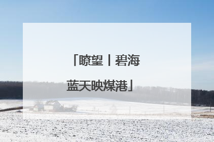 瞭望丨碧海蓝天映煤港