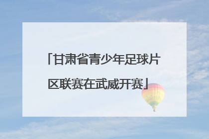 甘肃省青少年足球片区联赛在武威开赛