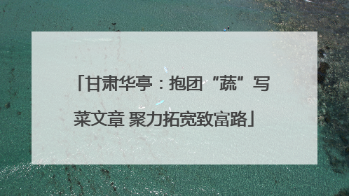 甘肃华亭：抱团“蔬”写菜文章 聚力拓宽致富路