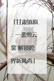 甘肃镇原：一袭剪云裳 解锁跨界新风尚