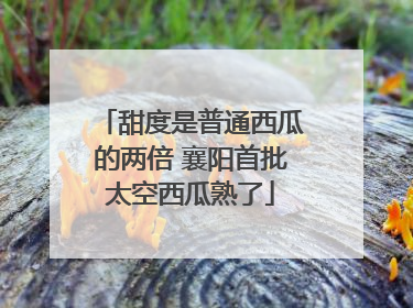 甜度是普通西瓜的两倍 襄阳首批太空西瓜熟了