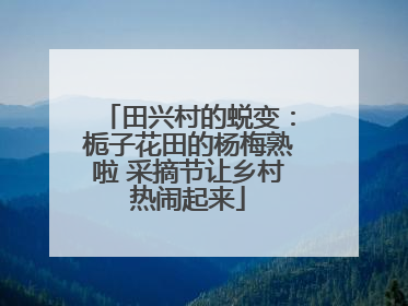 田兴村的蜕变：栀子花田的杨梅熟啦 采摘节让乡村热闹起来