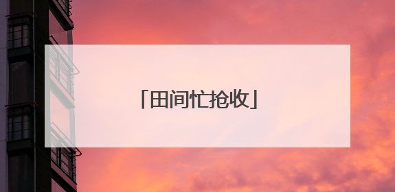 田间忙抢收