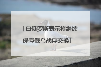 白俄罗斯表示将继续保障俄乌战俘交换