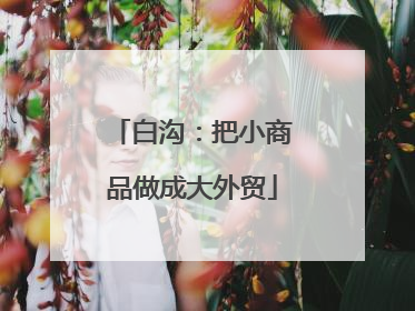 白沟：把小商品做成大外贸