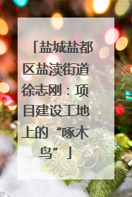 盐城盐都区盐渎街道徐志刚：项目建设工地上的“啄木鸟”