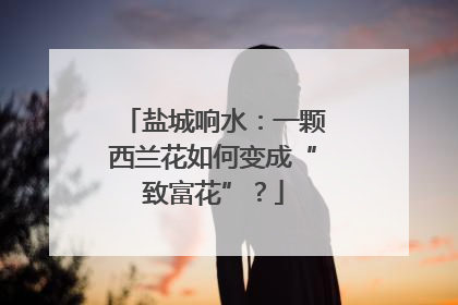 盐城响水：一颗西兰花如何变成“致富花”？