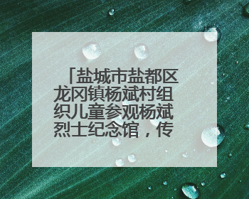 盐城市盐都区龙冈镇杨斌村组织儿童参观杨斌烈士纪念馆，传承红色基因