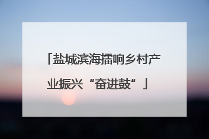 盐城滨海擂响乡村产业振兴“奋进鼓”