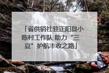 省供销社驻正阳县小陈村工作队 助力“三夏”护航丰收之路