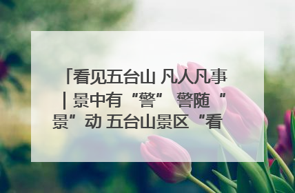 看见五台山 凡人凡事｜景中有“警” 警随“景”动 五台山景区“看得见”的平安守护