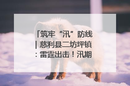 筑牢“汛”防线｜慈利县二坊坪镇：雷霆出击！汛期捕鱼被紧急叫停