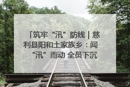 筑牢“汛”防线｜慈利县阳和土家族乡：闻“汛”而动 全员下沉筑牢防汛“安全堤”