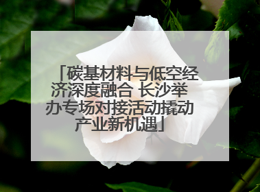 碳基材料与低空经济深度融合 长沙举办专场对接活动撬动产业新机遇