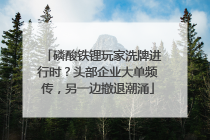 磷酸铁锂玩家洗牌进行时？头部企业大单频传，另一边撤退潮涌