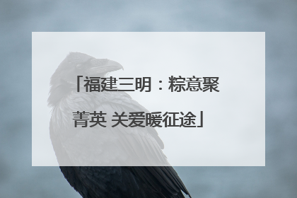 福建三明：粽意聚菁英 关爱暖征途