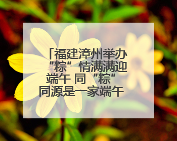 福建漳州举办“粽”情满满迎端午 同“粽”同源是一家端午联谊活动