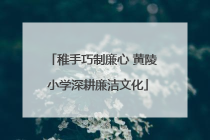 稚手巧制廉心 黄陵小学深耕廉洁文化