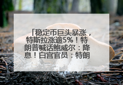 稳定币巨头暴涨，特斯拉涨逾5%！特朗普喊话鲍威尔：降息！白宫官员：特朗普无与马斯克交谈计划，他正考虑卖掉红色特斯拉