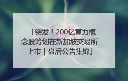 突发！200亿算力概念股筹划在新加坡交易所上市｜盘后公告集锦