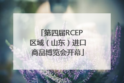 第四届RCEP区域（山东）进口商品博览会开幕