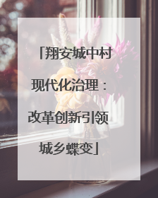 翔安城中村现代化治理：改革创新引领城乡蝶变