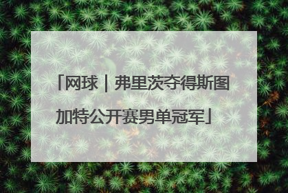 网球｜弗里茨夺得斯图加特公开赛男单冠军