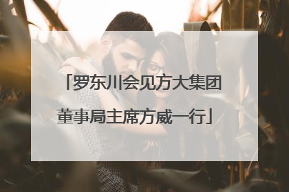 罗东川会见方大集团董事局主席方威一行
